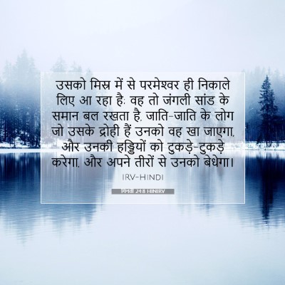 Picture 07 - गिनती 24:8 HINIRV - उसको मिस्र में से - Bible Verse Picture