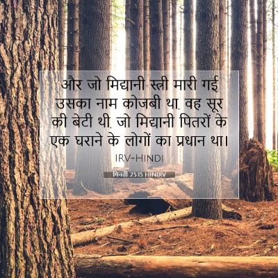 Picture 07 - गिनती 25:15 HINIRV - और जो मिद्यानी - Bible Verse Picture