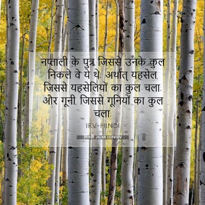 Picture 07 - गिनती 26:48 HINIRV - नप्ताली के पुत्र - Bible Verse Picture