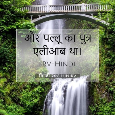 Picture 07 - गिनती 26:8 HINIRV - और पल्लू का पुत्र - Bible Verse Picture