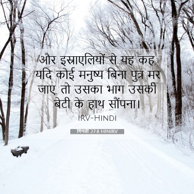 Picture 07 - गिनती 27:8 HINIRV - और इस्राएलियों से - Bible Verse Picture