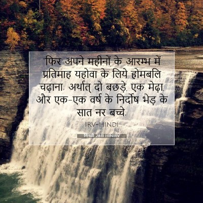 Picture 07 - गिनती 28:11 HINIRV - “फिर अपने महीनों - Bible Verse Picture