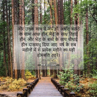 Picture 07 - गिनती 28:14 HINIRV - और उनके साथ ये अर्घ - Bible Verse Picture