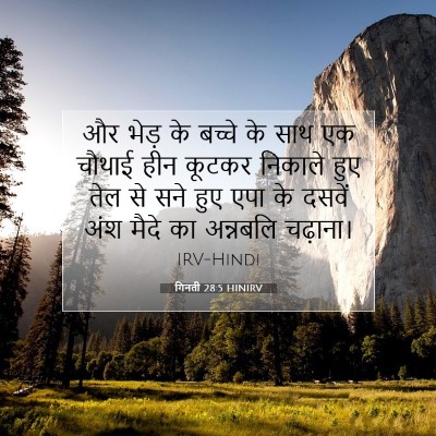 Picture 07 - गिनती 28:5 HINIRV - और भेड़ के बच्चे के - Bible Verse Picture