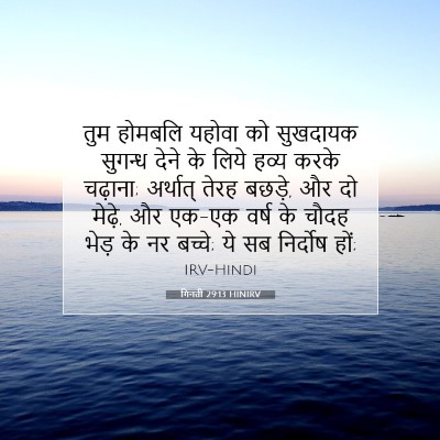 Picture 07 - गिनती 29:13 HINIRV - तुम होमबलि यहोवा - Bible Verse Picture