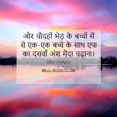 Picture 07 - गिनती 29:15 HINIRV - और चौदहों भेड़ के - Bible Verse Picture