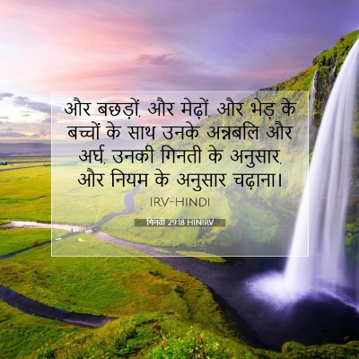 Picture 07 - गिनती 29:18 HINIRV - और बछड़ों, और - Bible Verse Picture