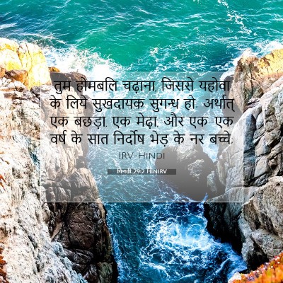 Picture 07 - गिनती 29:2 HINIRV - तुम होमबलि चढ़ाना, - Bible Verse Picture