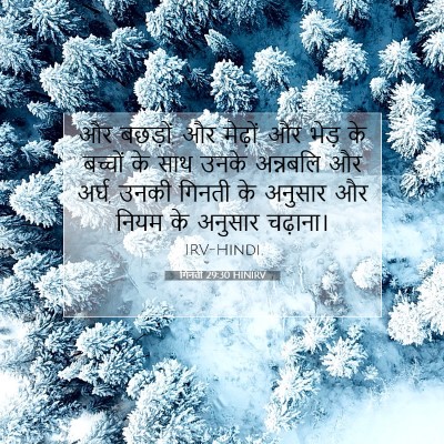 Picture 07 - गिनती 29:30 HINIRV - और बछड़ों, और - Bible Verse Picture