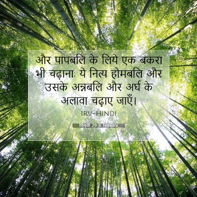 Picture 07 - गिनती 29:31 HINIRV - और पापबलि के लिये - Bible Verse Picture