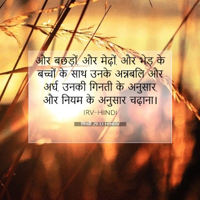 Picture 07 - गिनती 29:33 HINIRV - और बछड़ों, और - Bible Verse Picture