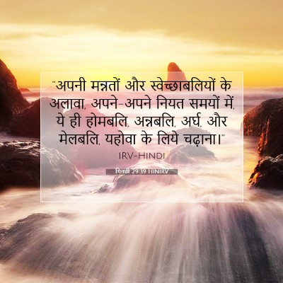 Picture 07 - गिनती 29:39 HINIRV - “अपनी मन्नतों और - Bible Verse Picture