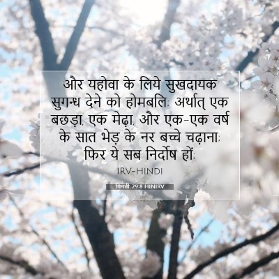 Picture 07 - गिनती 29:8 HINIRV - और यहोवा के लिये - Bible Verse Picture