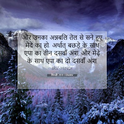 Picture 07 - गिनती 29:9 HINIRV - और उनका अन्नबलि - Bible Verse Picture