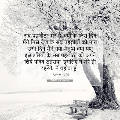 Picture 07 - गिनती 3:13 HINIRV - सब पहलौठे* मेरे - Bible Verse Picture