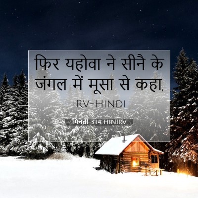 Picture 07 - गिनती 3:14 HINIRV - फिर यहोवा ने सीनै - Bible Verse Picture