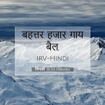 Picture 07 - गिनती 31:33 HINIRV - बहत्तर हजार गाय - Bible Verse Picture