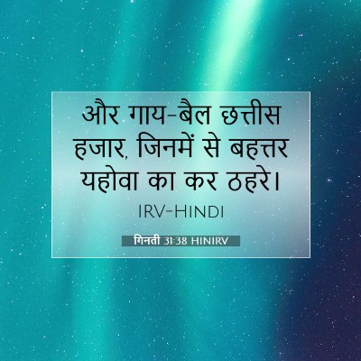 Picture 07 - गिनती 31:38 HINIRV - और गाय-बैल छत्तीस - Bible Verse Picture