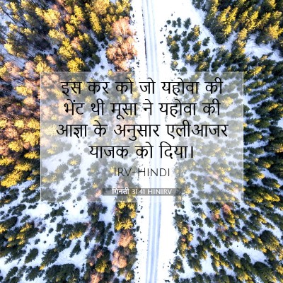 Picture 07 - गिनती 31:41 HINIRV - इस कर को जो यहोवा - Bible Verse Picture