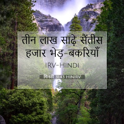 Picture 07 - गिनती 31:43 HINIRV - तीन लाख साढ़े - Bible Verse Picture