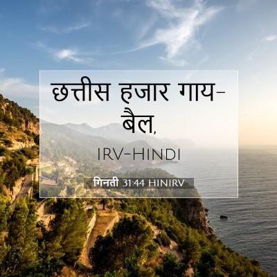 Picture 07 - गिनती 31:44 HINIRV - छत्तीस हजार - Bible Verse Picture