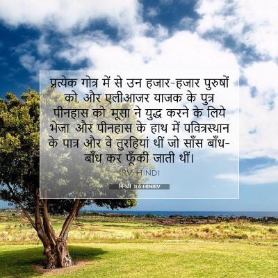 Picture 07 - गिनती 31:6 HINIRV - प्रत्येक गोत्र - Bible Verse Picture