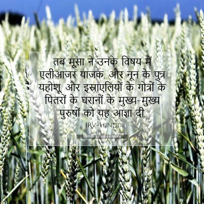 Picture 07 - गिनती 32:28 HINIRV - तब मूसा ने उनके - Bible Verse Picture