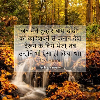 Picture 07 - गिनती 32:8 HINIRV - जब मैंने तुम्हारे - Bible Verse Picture