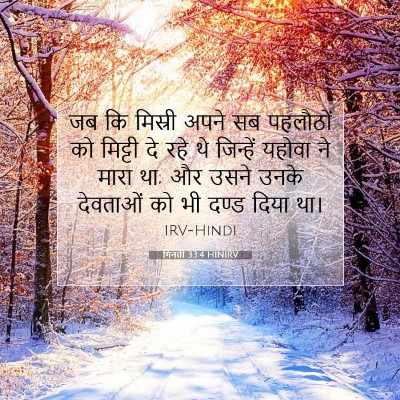 Picture 07 - गिनती 33:4 HINIRV - जब कि मिस्री अपने - Bible Verse Picture