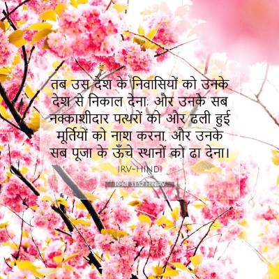 Picture 07 - गिनती 33:52 HINIRV - तब उस देश के - Bible Verse Picture