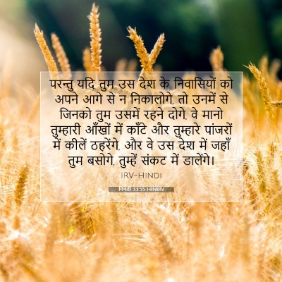 Picture 07 - गिनती 33:55 HINIRV - परन्तु यदि तुम उस - Bible Verse Picture