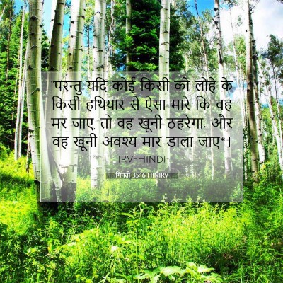 Picture 07 - गिनती 35:16 HINIRV - “परन्तु यदि कोई - Bible Verse Picture