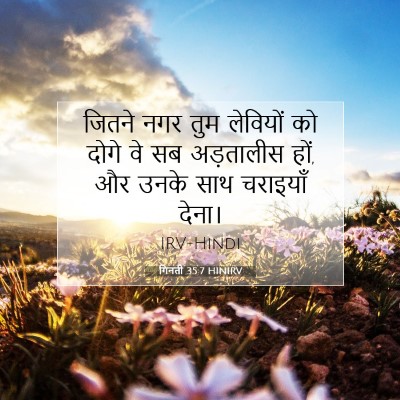 Picture 07 - गिनती 35:7 HINIRV - जितने नगर तुम - Bible Verse Picture