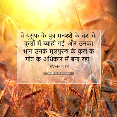 Picture 07 - गिनती 36:12 HINIRV - वे यूसुफ के पुत्र - Bible Verse Picture