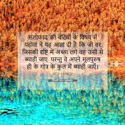 Picture 07 - गिनती 36:6 HINIRV - सलोफाद की बेटियों - Bible Verse Picture