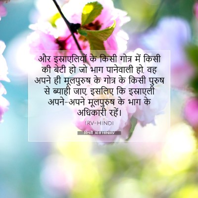 Picture 07 - गिनती 36:8 HINIRV - और इस्राएलियों के - Bible Verse Picture