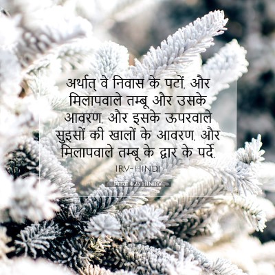 Picture 07 - गिनती 4:25 HINIRV - अर्थात् वे निवास - Bible Verse Picture