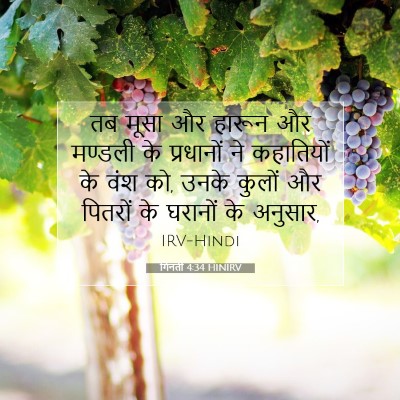 Picture 07 - गिनती 4:34 HINIRV - तब मूसा और हारून और - Bible Verse Picture