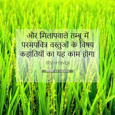 Picture 07 - गिनती 4:4 HINIRV - और मिलापवाले - Bible Verse Picture