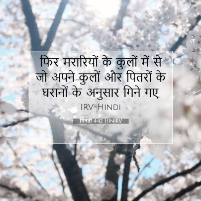 Picture 07 - गिनती 4:42 HINIRV - फिर मरारियों के - Bible Verse Picture