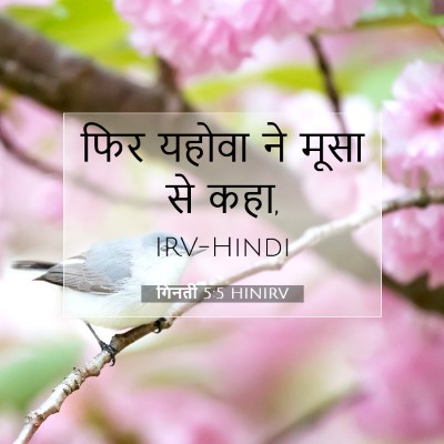 Picture 07 - गिनती 5:5 HINIRV - फिर यहोवा ने मूसा - Bible Verse Picture