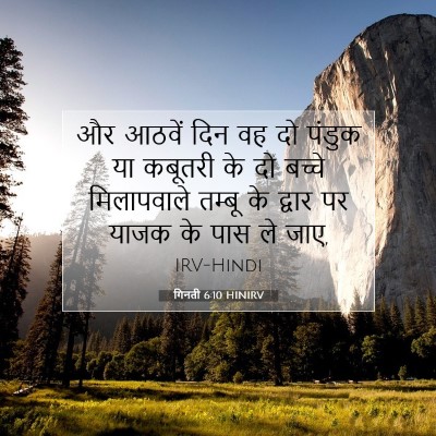 Picture 07 - गिनती 6:10 HINIRV - और आठवें दिन वह दो - Bible Verse Picture