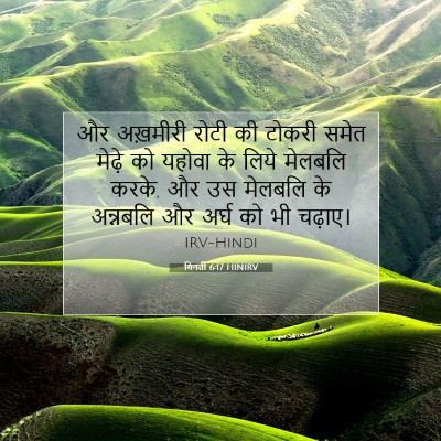 Picture 07 - गिनती 6:17 HINIRV - और अख़मीरी रोटी की - Bible Verse Picture