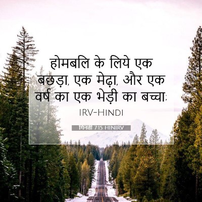 Picture 07 - गिनती 7:15 HINIRV - होमबलि के लिये एक - Bible Verse Picture