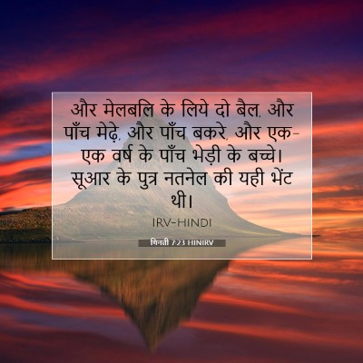 Picture 07 - गिनती 7:23 HINIRV - और मेलबलि के लिये - Bible Verse Picture