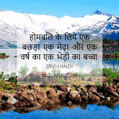 Picture 07 - गिनती 7:27 HINIRV - होमबलि के लिये एक - Bible Verse Picture