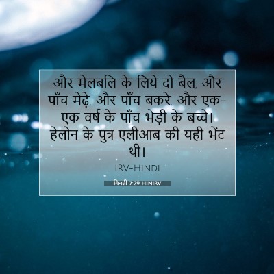 Picture 07 - गिनती 7:29 HINIRV - और मेलबलि के लिये - Bible Verse Picture