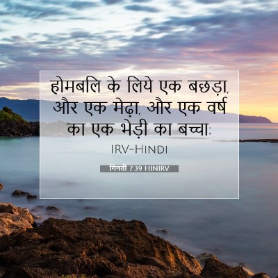 Picture 07 - गिनती 7:39 HINIRV - होमबलि के लिये एक - Bible Verse Picture