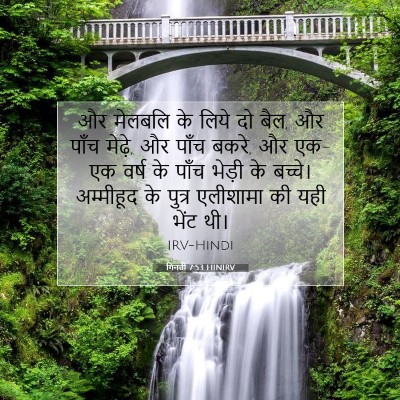 Picture 07 - गिनती 7:53 HINIRV - और मेलबलि के लिये - Bible Verse Picture