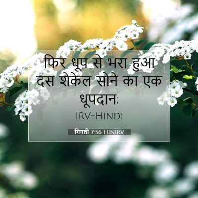 Picture 07 - गिनती 7:56 HINIRV - फिर धूप से भरा हुआ - Bible Verse Picture